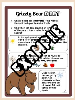 Grizzly Bear Diet Poster by MsQuonsTeachingToolbox | TPT