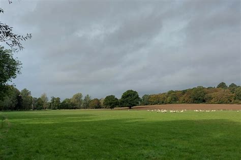 Sheep Pasture North Of Mill End Tim Heaton Geograph Britain And