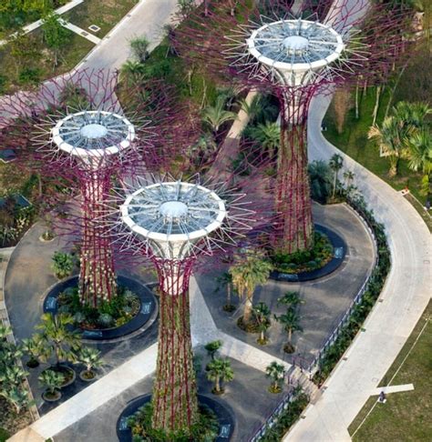 Arquitectura Biomim Tica La Construcci N Imitando La Naturaleza