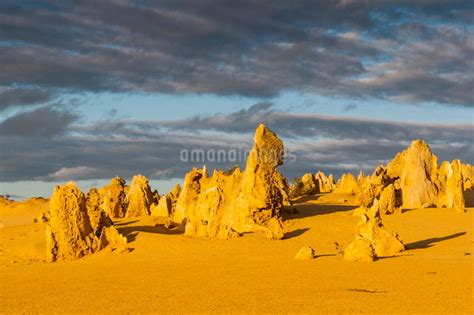 The Pinnacles Limestone Formations At Sunset In Nambung National Park