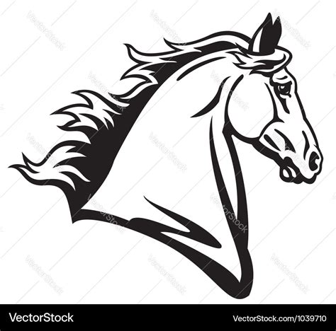 Horse Picture In Black And White - Picture Of Horse