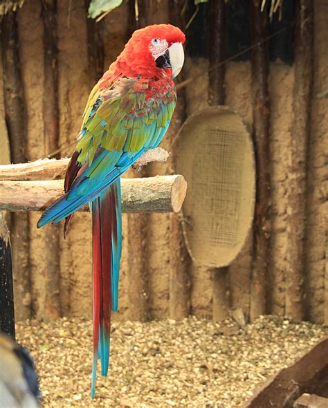 Amazon World Zoo Park