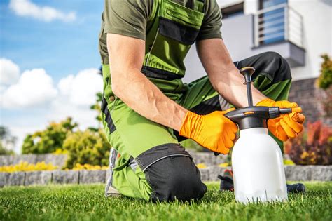 Le Meilleur Insecticide Naturel Pour Un Jardin Quilibr