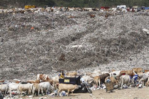 VOLUME SAMPAH MENINGKAT ANTARA Foto