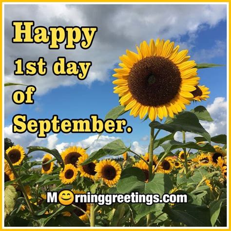 40 Best September Morning Quotes And Wishes Morning Greetings