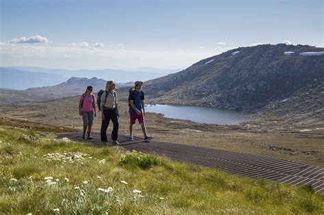 Kosciuszko National Park — Walk Travel Advisory