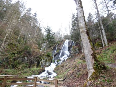 Cascade Du Hohwald Le Hohwald 2020 Ce Quil Faut Savoir Pour Votre Visite Tripadvisor