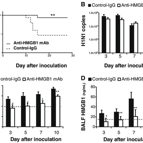 Effect Of Anti High Mobility Group Box 1 Anti HMGB1 Monoclonal