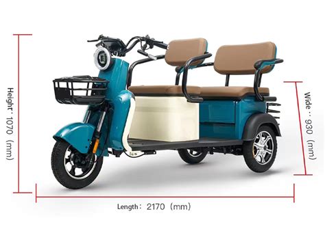 Wholesale New Product 3 Wheel Elderly Adult Folding Electric Tricycle