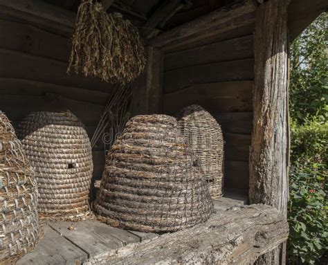 Traditional Beehives Flipped From Straw Stock Image Image Of Plants