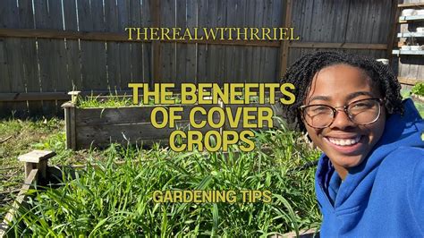 The Benefits Of Cover Crops Greater Houston Garden Youtube