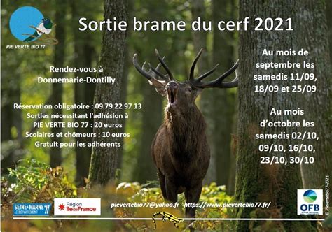 Sorties Brame Du Cerf Pie Verte Bio