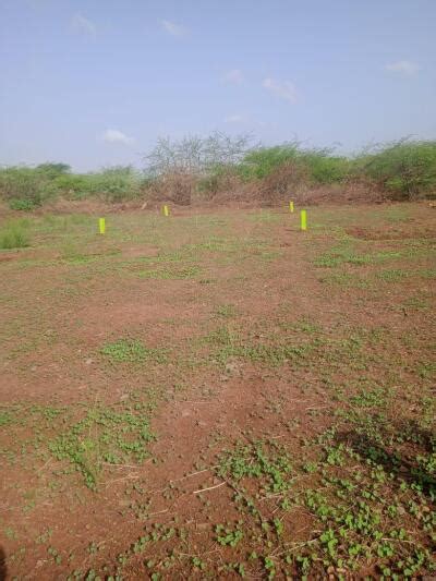 Residential Land Plot For Sale In Nandyal Kurnool Sq Yard