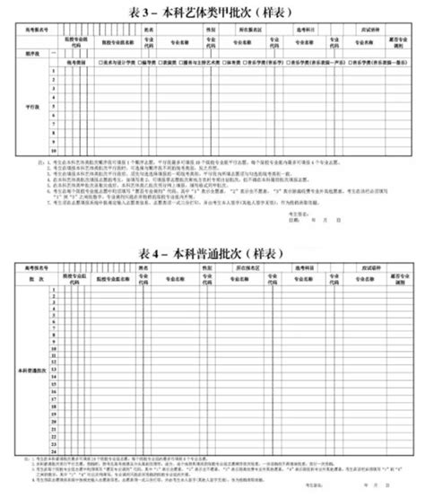 2024年上海高考志愿填报表范本 附填报指南与技巧