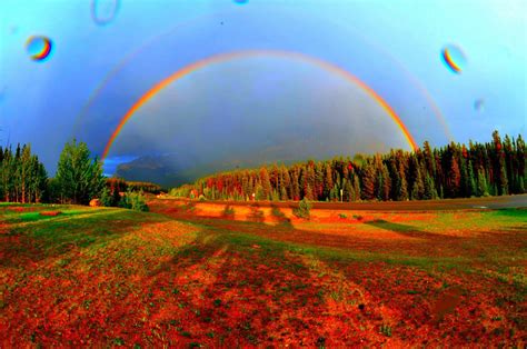 50 приголомшливих фотографій подвійної веселки (фото) - ВСВІТІ