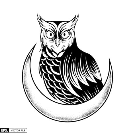 Premium Vector Owl And Moon Vector Illustration