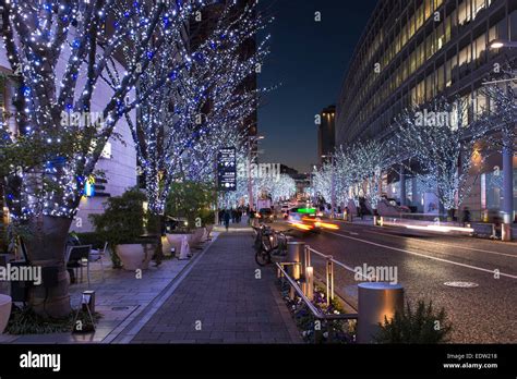 Roppongi Hills Illumination Over Christmas And New Years In Tokyo