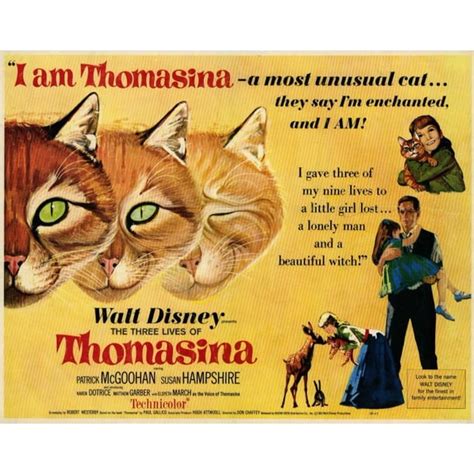 The Three Lives of Thomasina - movie POSTER (Style A) (11" x 14") (1964 ...