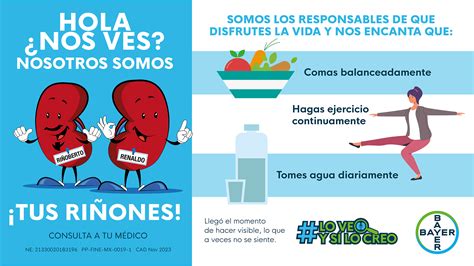 BAYER LANZA CAMPAÑA PARA PREVENIR Y COMBATIR LA ENFERMEDAD RENAL