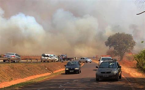 Em média Ribeirão Preto registra quatro queimadas por dia em agosto