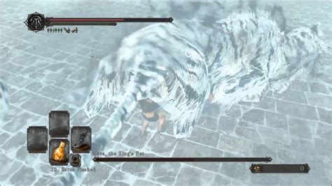 Aava The King S Pet Boss Dark Souls II Crown Of The Ivory King DLC