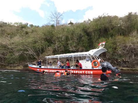 From Nusa Penida Spots Snorkeling Tour With Manta Rays Getyourguide