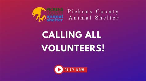 Pickens Animal Shelter Calling All Volunteers Youtube