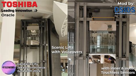 Toshiba Mod Daesung Ids Mrl Scenic Lifts W Touchless Gandaria