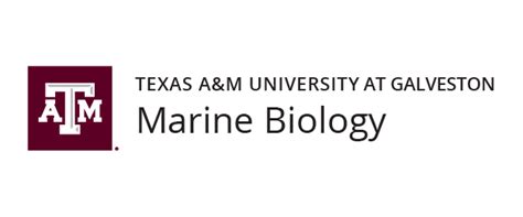 Texas Aandm Engineering Logo