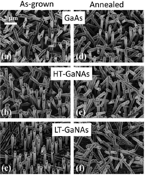 Representative Sem Images Of The As Grown Gaas Nws A The Ht Ganas