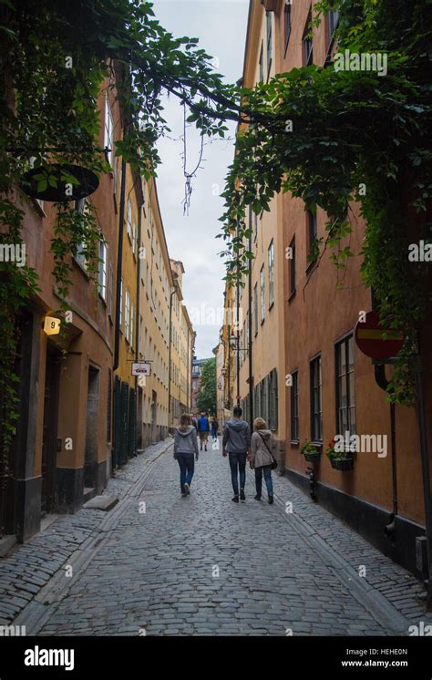 People Walking Through The Vine Covered Alleys Of Gamla Stan The Old