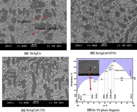 Sem Micrographs Of Nominally Air Cooled Snagcuxyb X