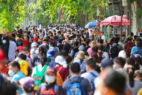 Chùm ảnh các địa điểm du lịch hot của giới trẻ trong dịp lễ Đà Lạt bất ngờ dễ thở nhất