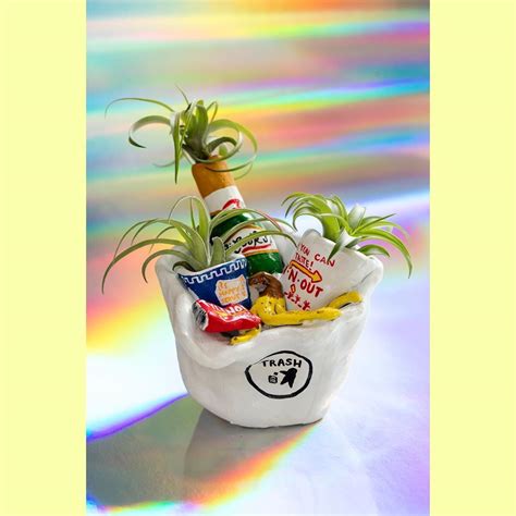 Hello Happy Plants Creates Dream Homes For Your Plants - https://everydaymonkey.com