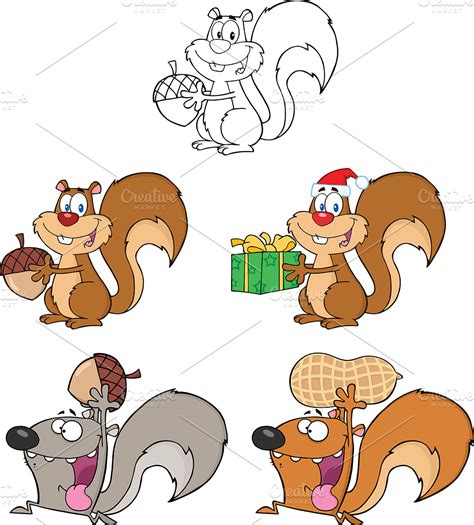 Squirrel Characters Collection 2 Illustrations Creative Market
