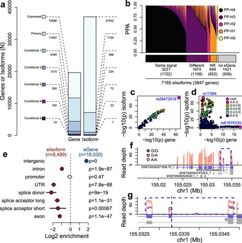 Gene And Isoform Eqtls A Barplot Showing The Number Of Eqtls For Egenes