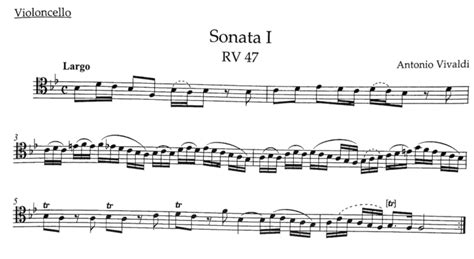 Cello Range One Of The Most Expansive Ranges Of Any Instrument