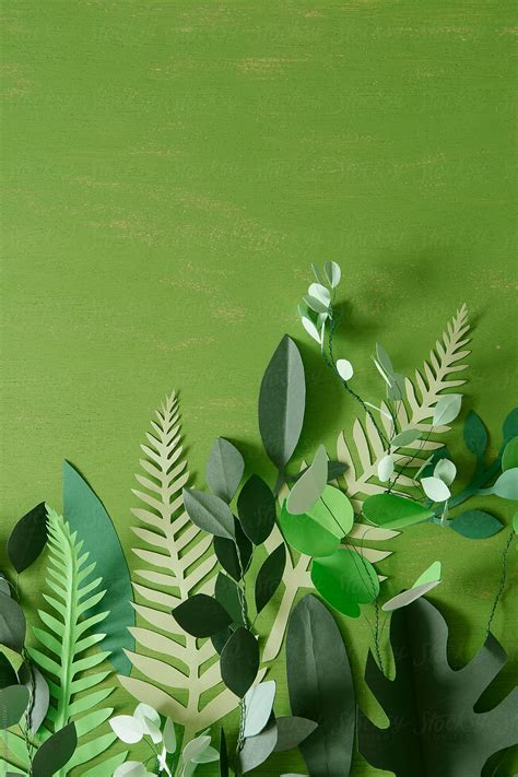 paper leaves  stocksy contributor alita stocksy