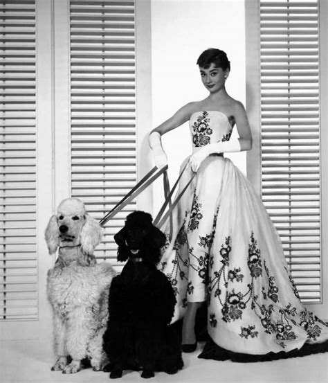 The Top 5 Most Glamorous Audrey Hepburn Dresses