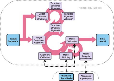 Flow Chart For Protein Homology Modeling Modified After Kirton Et Al