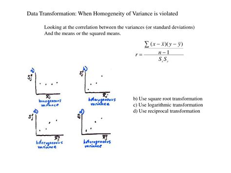 PPT - Homogeneity of Variance PowerPoint Presentation, free download ...