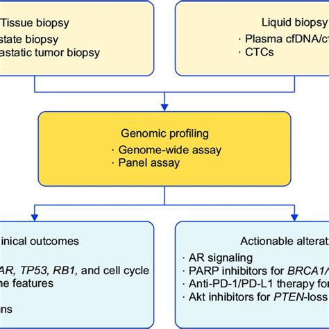 Overview Of Genomic Profiling Of Prostate Cancer The Specific Gene Download Scientific