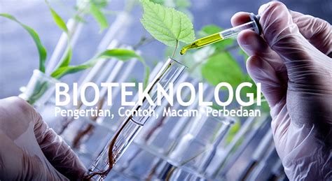 Bioteknologi Pengertian Contoh Macam Macam Perbedaan Modern Dan