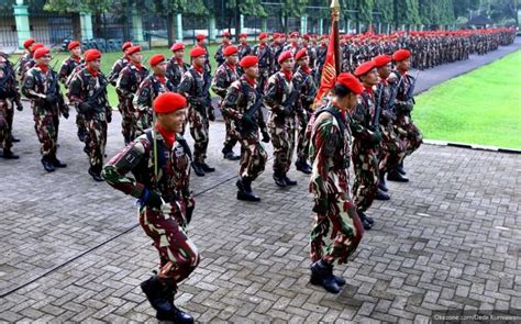 7 Pasukan Khusus Indonesia Yang Sangat Ditakuti Oleh Negara Lain Siapa