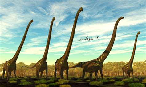 Dinosaurs With Long Necks Imp World