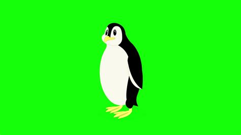 tela verde dos desenhos animados - animais - pinguim 3675613 Vídeo ...