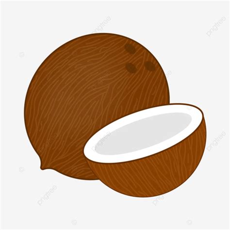 Ilustrasi Vektor Kelapa Kelapa Buah Kelapa Santan Png Dan Vektor