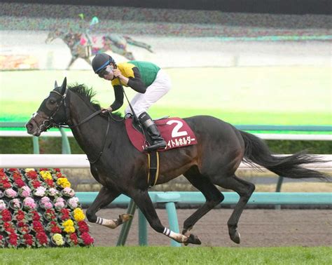 特集（2024年03月23日 中山11r 第72回日経賞） スポニチ競馬web