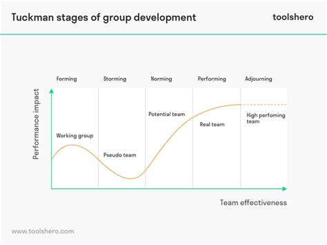 Tuckman's Stages of Group Development - Toolshero