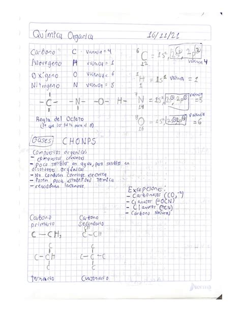 Solution Quimica Organica Studypool